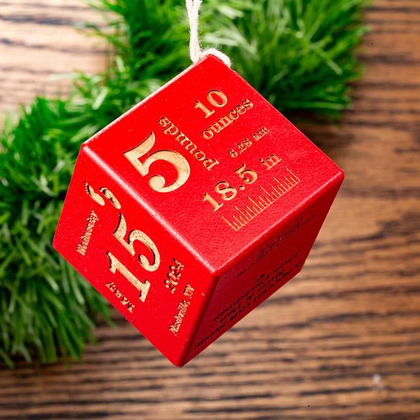 Red Baby Block Ornament